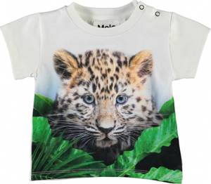 Hovedbilde Molo, Emilio jungle cub ...