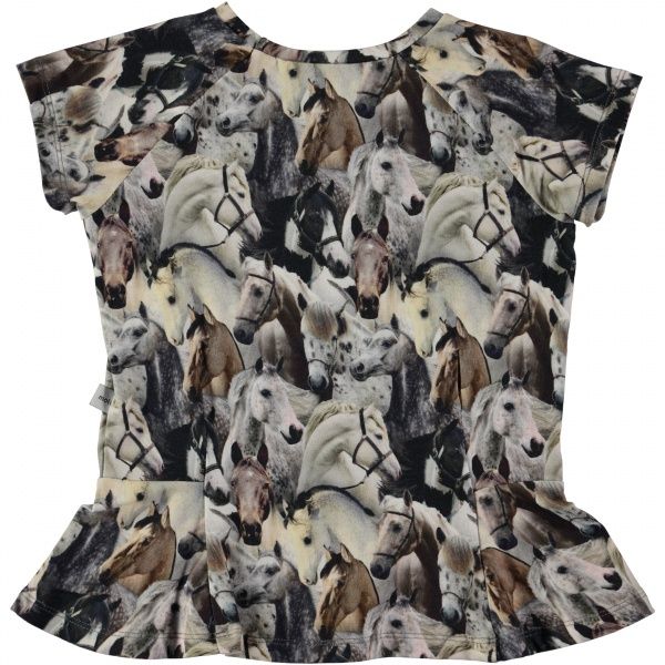 Molo, Robbin horse spirit topp