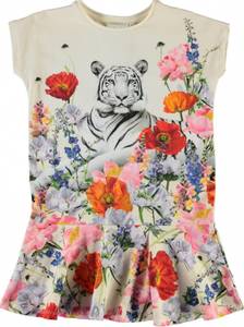 Hovedbilde Molo,  Caeley topp meadow ...