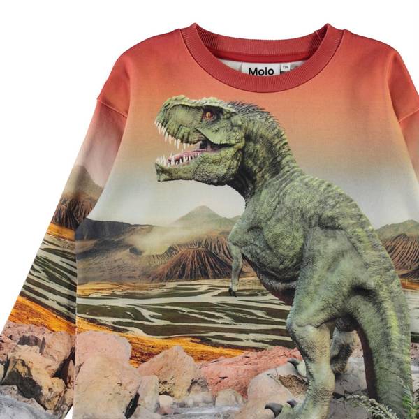 Molo, Mountoo dino landscape genser