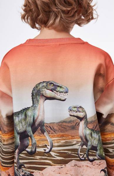 Molo, Mountoo dino landscape genser