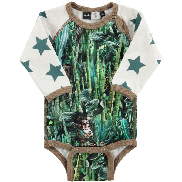 Molo, Floyd body cactus bite