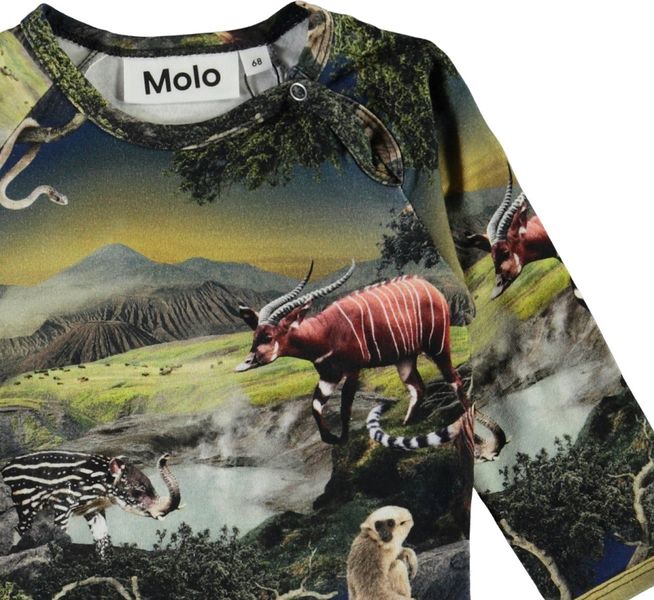 Molo, Field future animals body