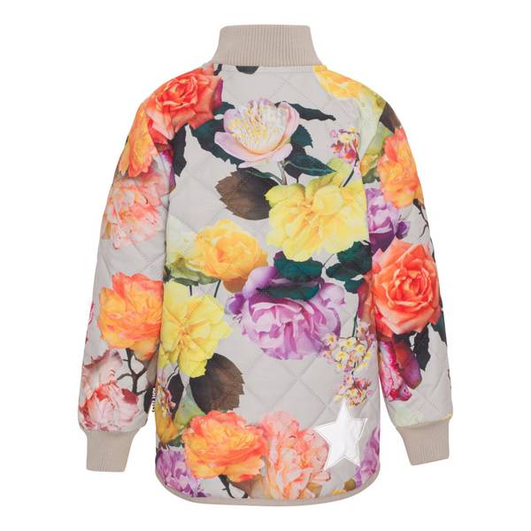 Molo Husky rose park grey softshelljakke