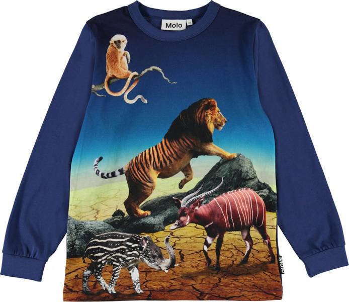 Molo, Rez wild future